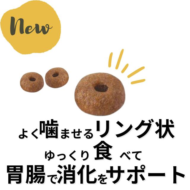 ロイヤルカナン 猫 ダイジェスティブ ケア （ 健康 な おなか 便 を