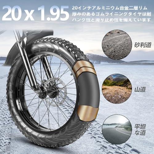 15,新品未開封Assuto電動自転車 アシスト自転車 最高時速24km/h 15,新品未開封Assuto電動自転車 アシスト自転車 最高時速24km/h
