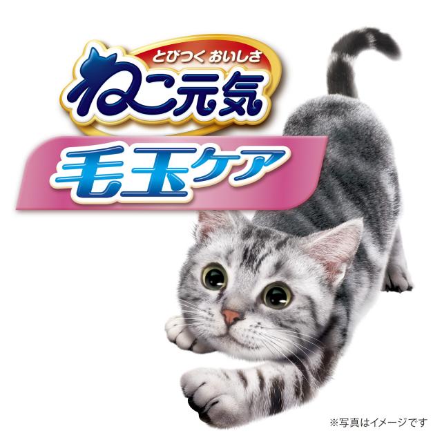 【まとめ買い】【ジャンボパック】ねこ元気 キャットフード ドライ 毛玉ケア まぐろ・チキン・緑黄色野菜入り 11.2kg（2.8kg×4） 国産_1