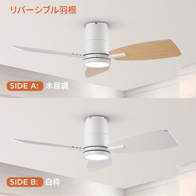 TALOYA シーリングファンライト 調光 調色 8畳 10畳 LED天井ファン