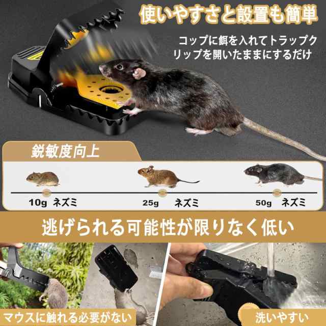 アップグレード版】Yoimize ネズミ捕り 鼠捕獲 6個セット ねずみ