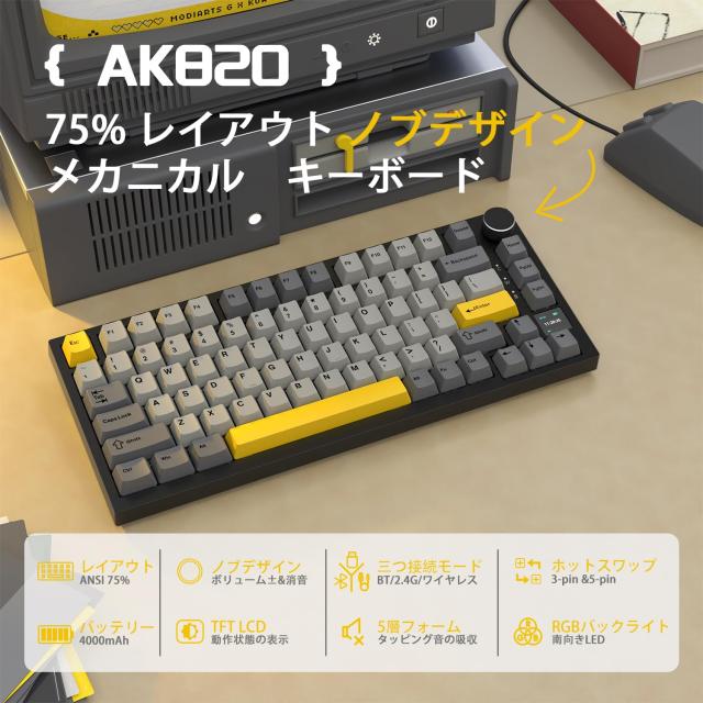 MemoryMasters 100個パック 1GB 240p PC2-4200 CL4 16c 64x8 DDR2-533 2Rx8 1.8v UDIMM (メモリーロット)　並行輸入品 MemoryMasters 100個パック 1GB 240p PC2-4200 CL4 16c 64x8 DDR2-533