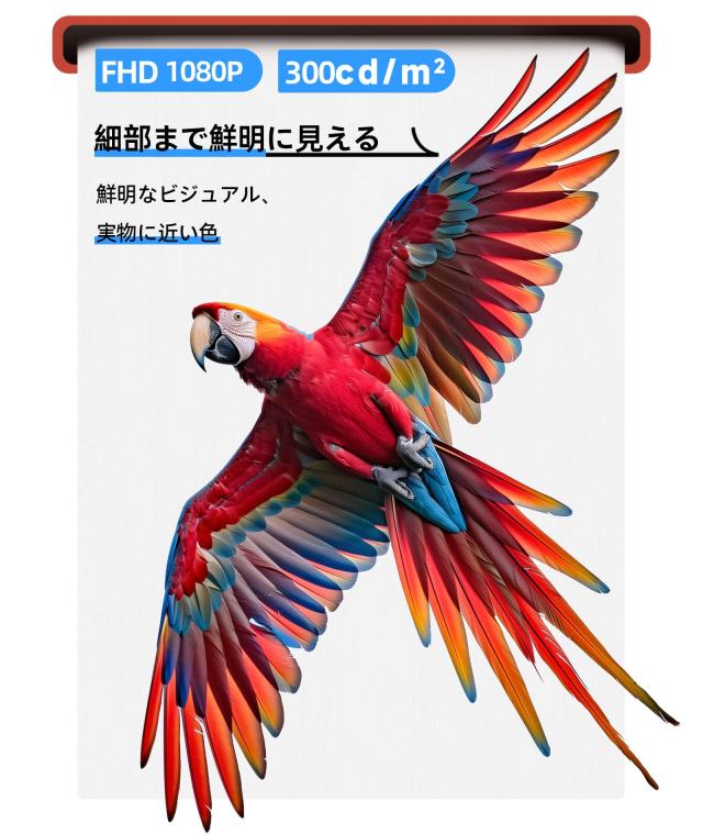 Ingnok モバイルモニター 15.6インチ モバイルディスプレイ FHD 非光沢 A+スクリーン IPS液晶パネル USBType-C miniHDMI スタンド付き PS_1