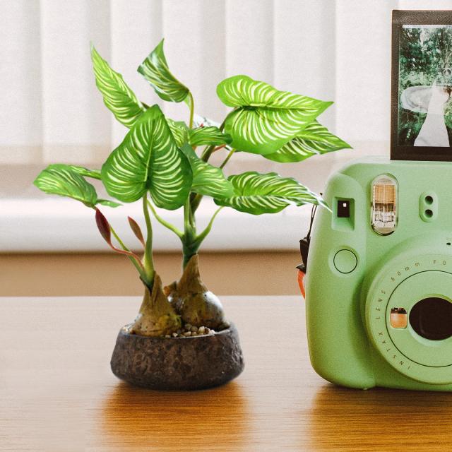 フェイクグリーン 人工観葉植物 光触媒 人工盆栽 モンステラインテリア