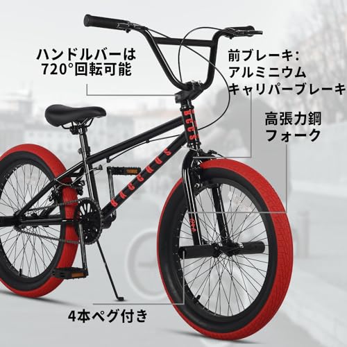AVASTA Bacchus BMX自転車 20インチ フリースタイルBMXバイク