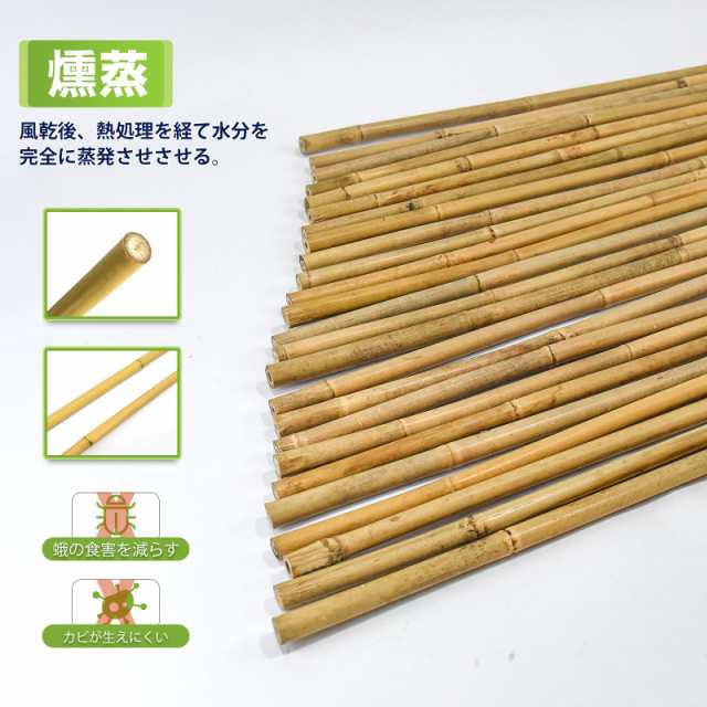燻煙竹 煤竹 篠竹 女竹 5本セット | 注目ブランド