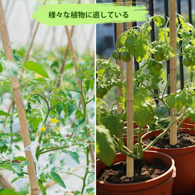 大量入荷 燻煙煤竹 篠竹 女竹 5本セット - メルカリ その他 - その他