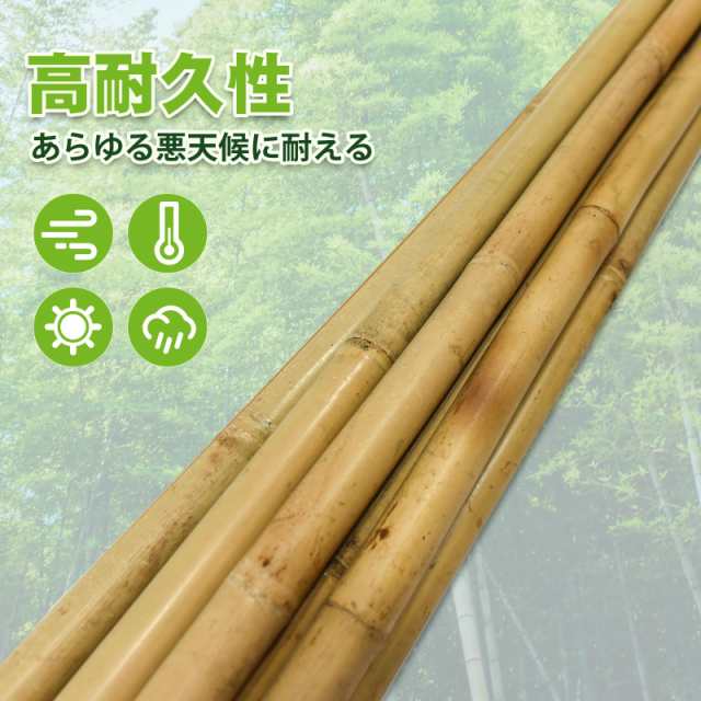 Amazon.co.jp: OLYCRAFT 100本 天然竹スティック 竹ひご 長さ約