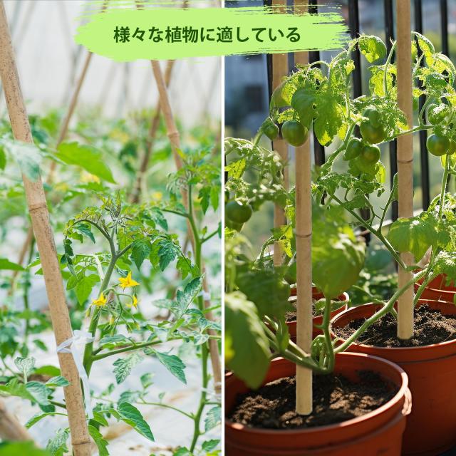 Jollybower 20本セット天然竹 支柱 180cm 女竹 篠竹 添え木 園芸