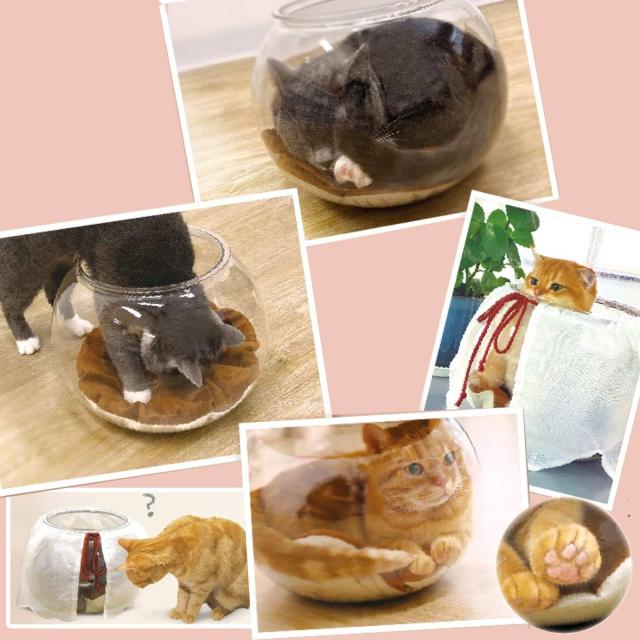 キャティーマン にゃんこの金魚鉢 猫の通販はau PAY マーケット