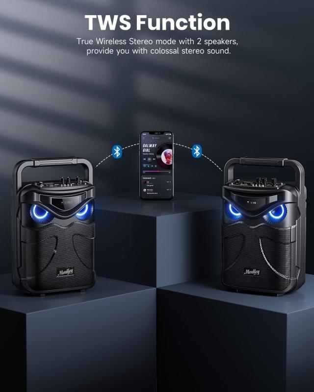 ワイヤレスマイク スピーカーセット　ワイヤレスマイク2本付き Amazon | ワイヤレスマイク スピーカーセット 拡声器マイク2本付き