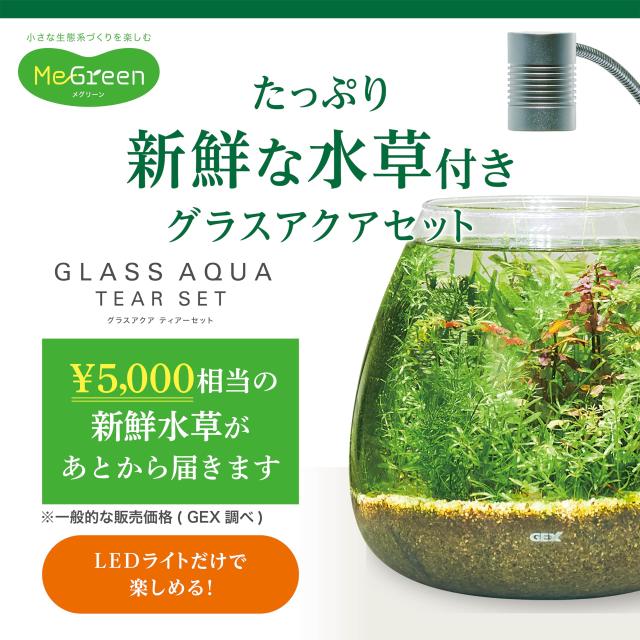 GEX MeGreen 新鮮な水草付き グラスアクアティアーセット 水草育成用品セット 別送でたっぷり水草が届く クリアLEDリーフグロー・水草を_1
