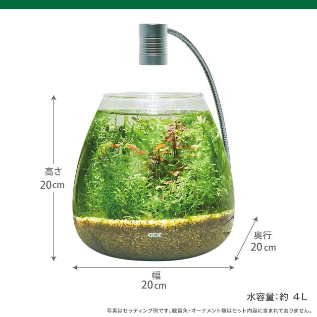 GEX MeGreen 新鮮な水草付き グラスアクアティアーセット 水草育成用品セット 別送でたっぷり水草が届く クリアLEDリーフグロー・水草を_2