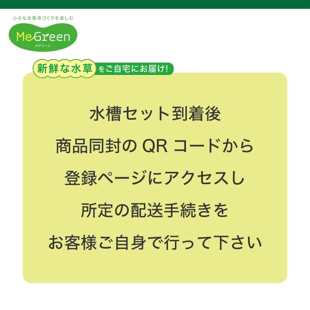GEX MeGreen 新鮮な水草付き グラスアクアティアーセット 水草育成用品セット 別送でたっぷり水草が届く クリアLEDリーフグロー・水草を_4