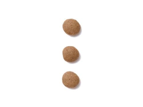 ロイヤルカナン 猫 キャットフード ユリナリー S/O オルファクトリー 2kg 尿路疾患 療法食 ドライ ネコ 肥満 (2kg, オルファクトリー)_5