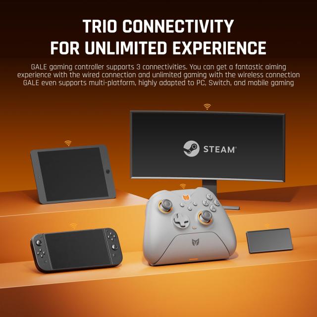 コントローラー、BIGBIG WON Gale Hall PCコントローラー、モーションコントロール、ホールジョイスティック＆トリガー、3ペアのサムステ_5
