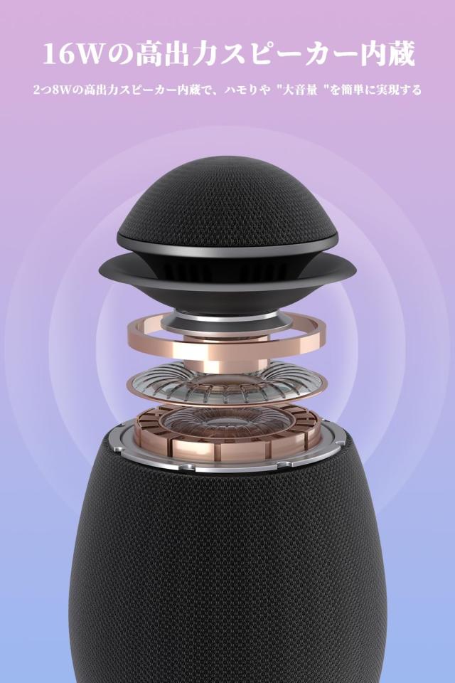 Philips (フィリップス) カラオケマイク Bluetooth ワイヤレス Philips (フィリップス) カラオケマイク Bluetooth ワイヤレス