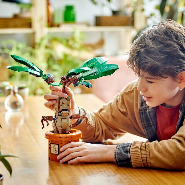 レゴ(LEGO) ハリー・ポッター マンドレイク おもちゃ 玩具 プレゼント 誕生日 ブロック クリスマス 男の子 女の子 子供 10歳 11歳 12歳_8