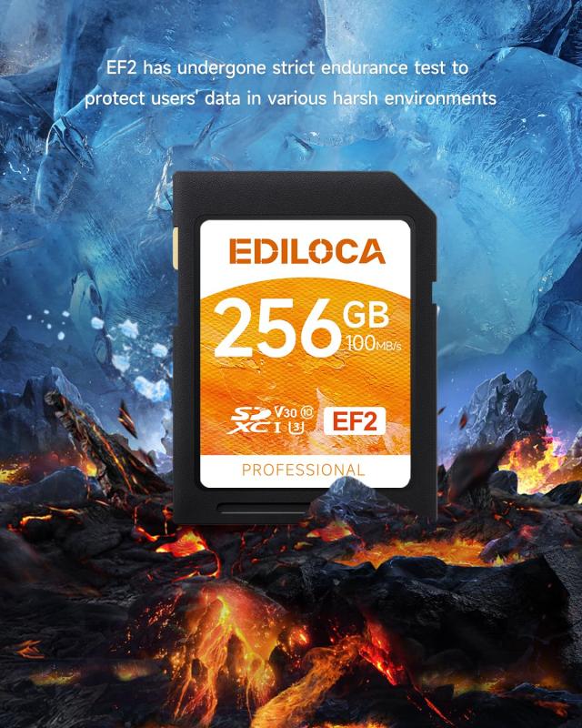 Ediloca EF2 256GB SDカード SDXC C10 UHS-I U3 V30 メモリカード 高速 読み取り速度 100MB/s 書き込み速度 90MB/s Full HD ＆ 4K UHD ビ_4