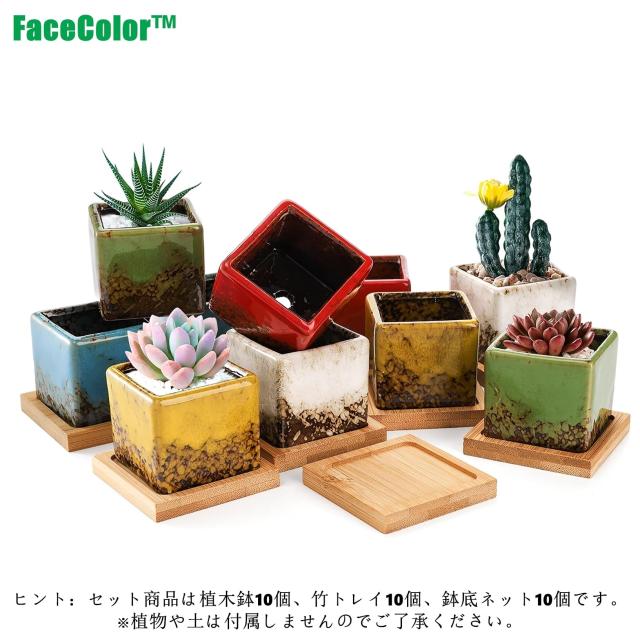 Facecolor 多肉植物鉢 2号鉢 おしゃれ和風陶器植木鉢 釉薬