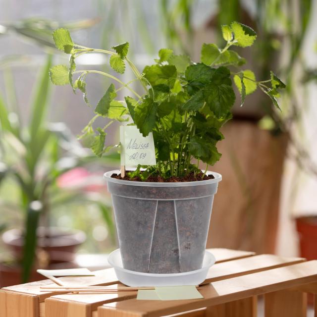 BESTOYARD 植木鉢 透明 スリット鉢 観葉植物 鉢 4個セット おしゃれ プラスチック 底皿付き 4+5+6+7号_6