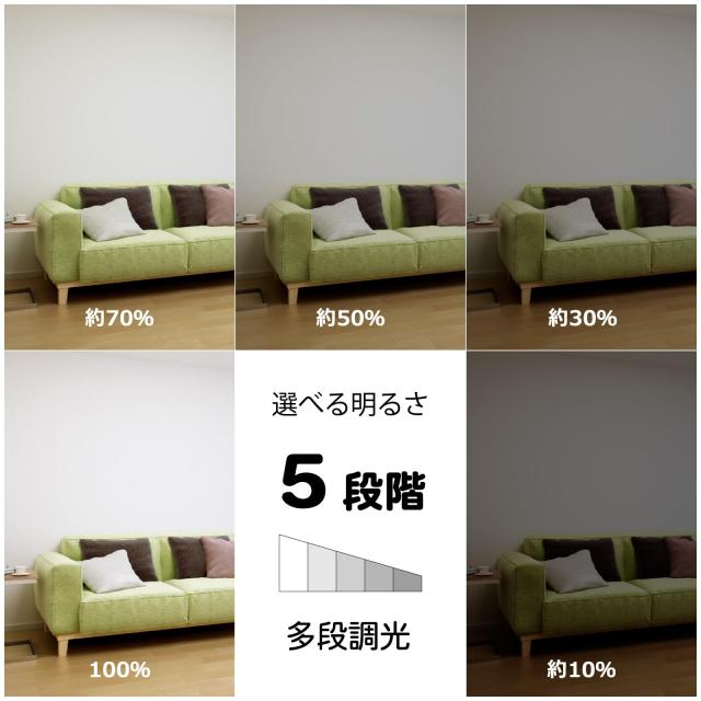 HotaluX（ホタルクス） ＜日本製＞ LEDシーリングライト HLDZ12662SGA 適用畳数~12畳 (日本照明工業会基準) 5499lm 調光タイプ 常夜灯 ホタ_2