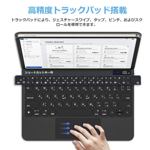 QERDAOYI マジックキーボード 2025 iPad 第11世代11 インチ A16 ＆iPad第10世代10.9インチ（A2696/A2757/A2777）に対応 日本語配列 高精度_2