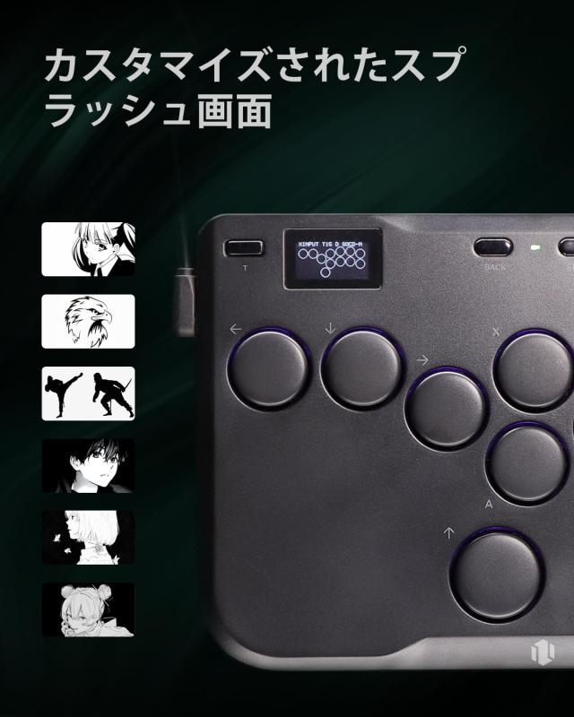 SIXSIR レバーレスコントローラー: 軽量パッド 12