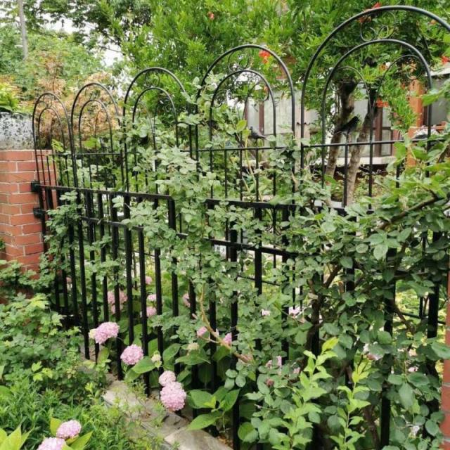 Rxakudedo 4枚 薔薇フェンス アイアンフェンス 園芸 フェンス アイアン 高さ180cm ローズフェンス 蔓性植物用支柱 フェンス_5