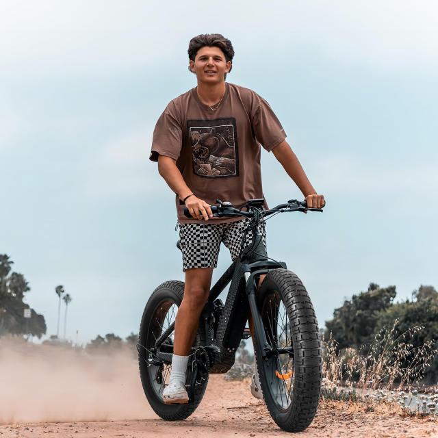 2本セット,20 4.0 タイヤ,20x4.0 自転車タイヤ + 20x4.0/4.5 チューブ 肉厚 米式バルブ32mm,適用 20インチ 4.0 ファットバイク、マウンテ