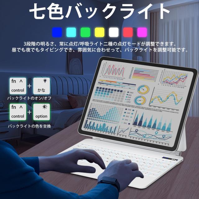 SUKEBON マジックキーボード 2024 iPad Pro 13インチ（M4）キーボード付きケース 【日本技適認証取得】 iPad Pro 13インチ（M4）専用（A2の通販は