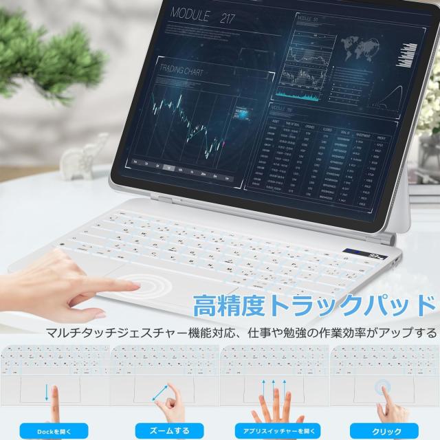QERDAOYI マジックキーボード iPad Pro13インチ(M4/M5) デル番号(A2925 A2926 A3007/A3360 A3361 A3362)に適用 iPadキーボード付きケース_3