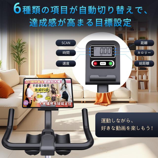 DMASUN エアロバイク スピンバイク 静音 フィットネスバイク 室内