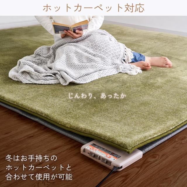 アイリスオーヤマ カーペット ラグ クッションラグ 厚さ3？ 極厚 もっ