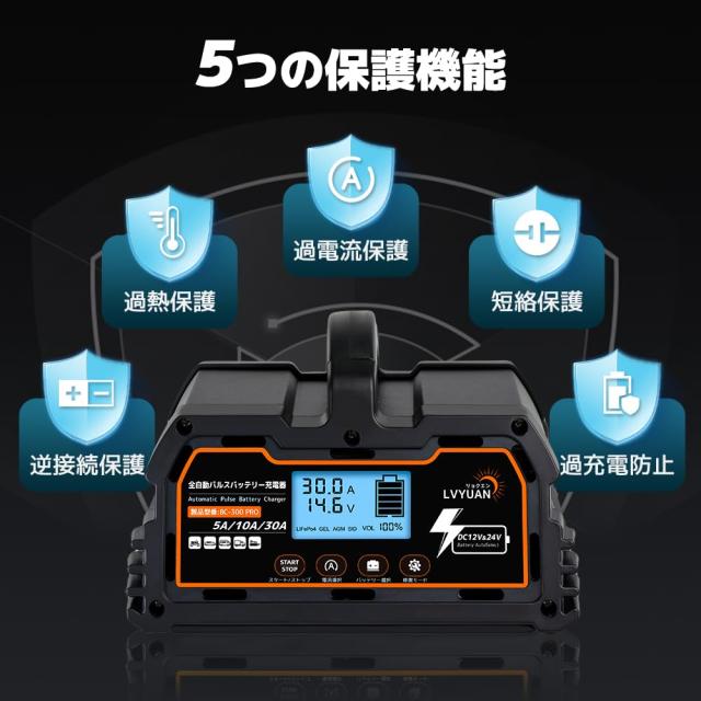 リョクエン（LVYUAN）【正規品】 全自動パルスバッテリー充電器 定格