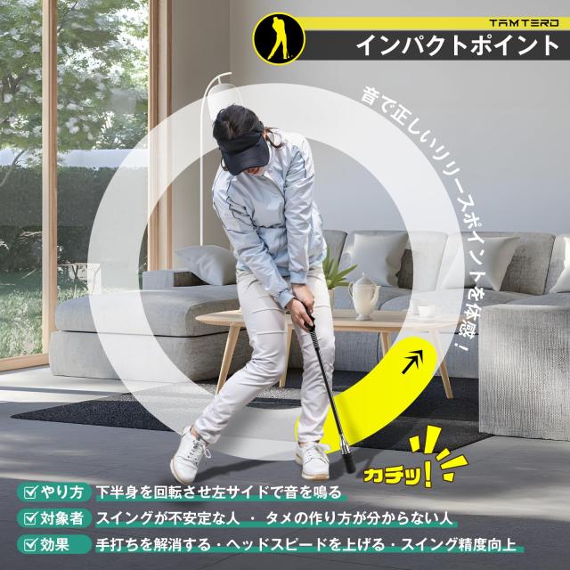 Tamterd（タムタード）ゴルフ練習器具スイング Tamterd Tamterd スイングトレーナー (ゴルフ練習器具) 価格比較