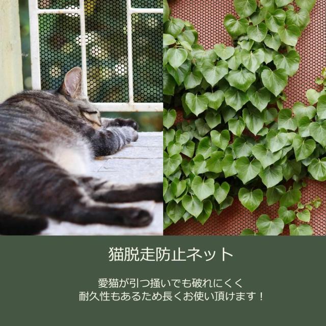 KACIG 落下防止 プラスチック メッシュ ネット 猫脱走防止フェンス 長