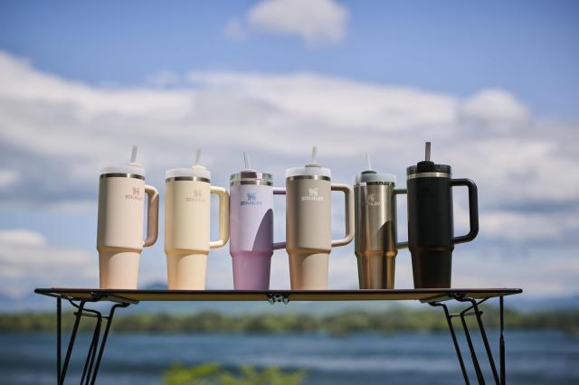 STANLEY(スタンレー) H2.0 真空クエンチャー 0.88L ローズクオーツ2.0 保冷 頑丈 ストロー 水筒 夏 アウトドア 食洗機可 保証 (日本正規