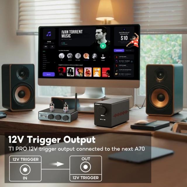 AIYIMA T1pro JAN5725W TUBE真空管 Bluetooth 5.1 プリアンプ トリガー