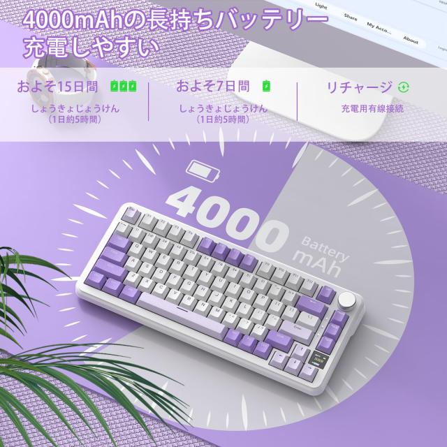 ATTACK SHARK X85Pro ゲーミングメカニカルキーボード ブルーベリースイッチ ガスケットマウント リニア PBTキーキャップOEMカスタマイズ_7