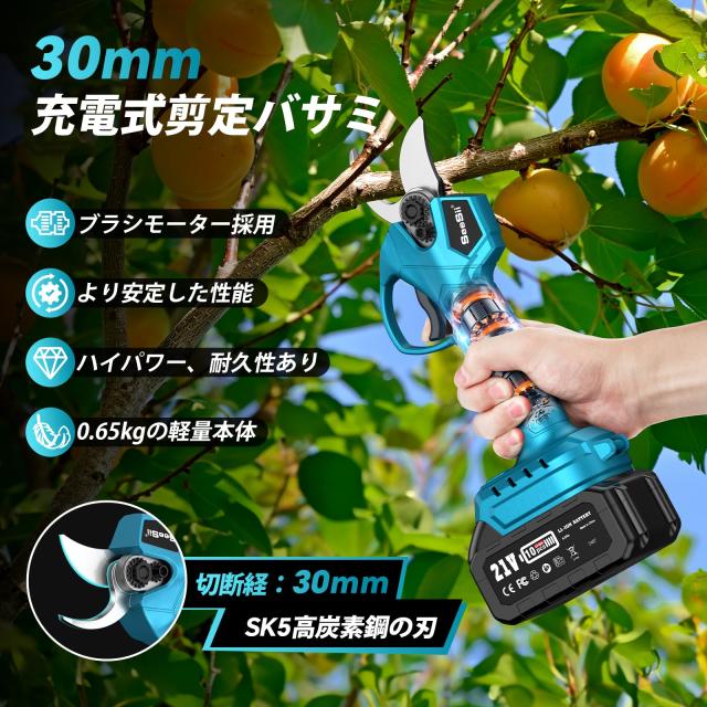 Seesii たかえだ 電動 チェーンソー 高枝切り 電動バサミ 8インチ 充電式ハンディーチェーンソー ブラシレスモーター搭載 4000mAhバッテの通販は