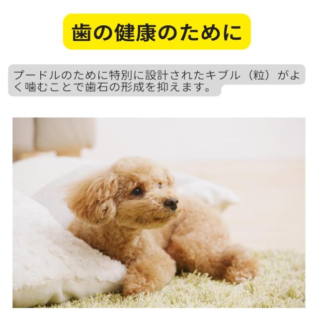 ロイヤルカナン プードル（生後10ヵ月以上）成犬用【7.5kg
