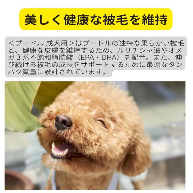ロイヤルカナン プードル（生後10ヵ月以上）成犬用【7.5kg】ドッグフード ドライ BHN トイプードルのために考える独特な被毛の健康に必要_4