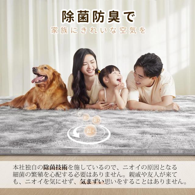 SOMANT カーペット ラグ 約4畳 冬用 低反発 厚手 抗菌防臭加工 ラグマット シャギーラグ 滑り止め付き 暖かい 洗えるラグ マット リビン_1