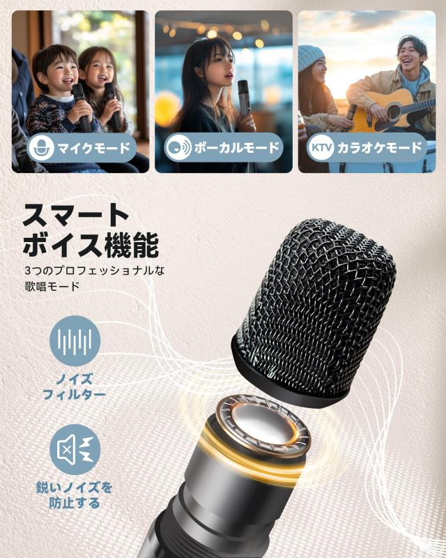 カラオケスピーカー Hoshikou Denpa 80W大出力ポータブルスピーカー