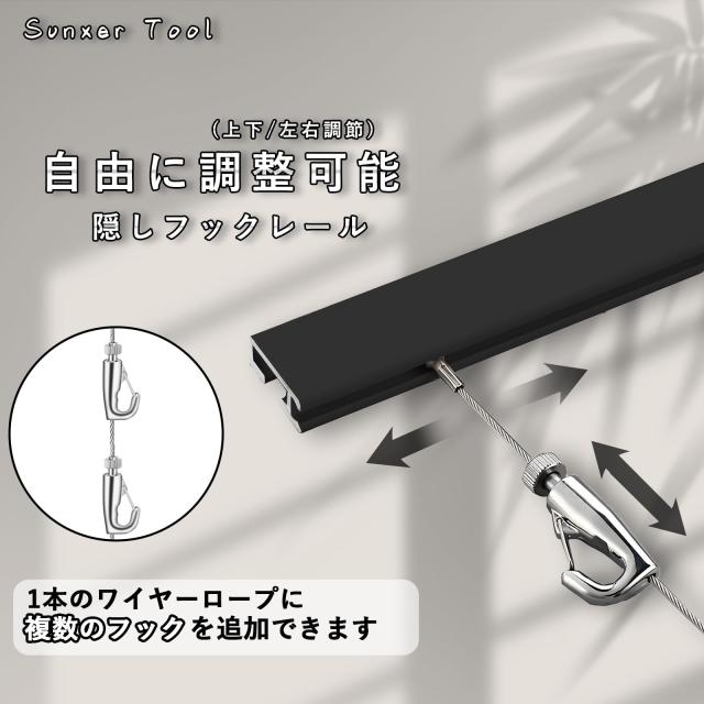 ピクチャーレール 2M ブラック レール ワイヤーロープ フック セット