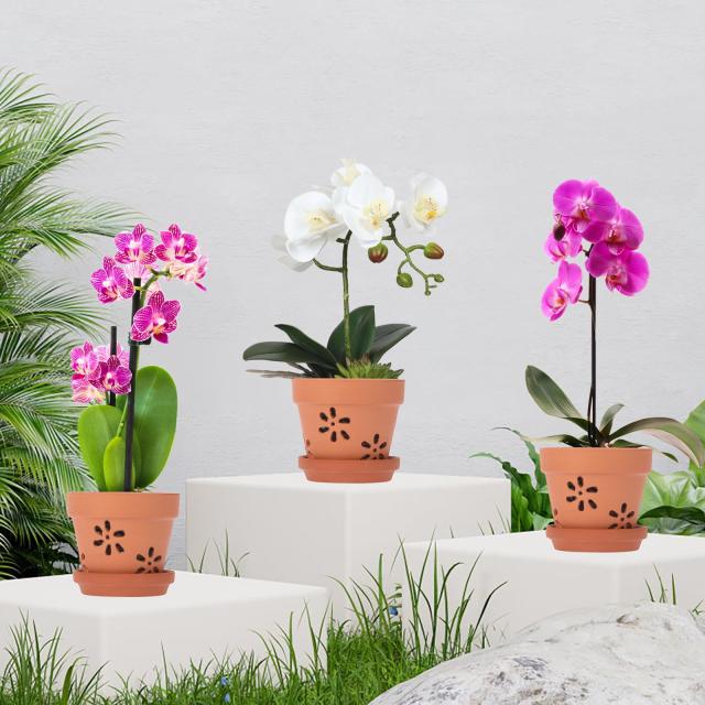 BSTKEY 6個セット 素焼き鉢 植木鉢 陶器鉢 観葉植物鉢 オシャレ 穴付き