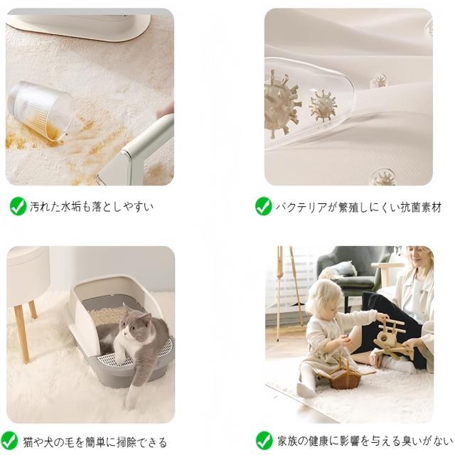 SXYITE カーペット ラグ 洗える ラグカーペット マット 滑り止め付き 絨毯 約4畳 防ダニ フランネル さらフワ触感 おしゃれ 北欧 ラグマ_2
