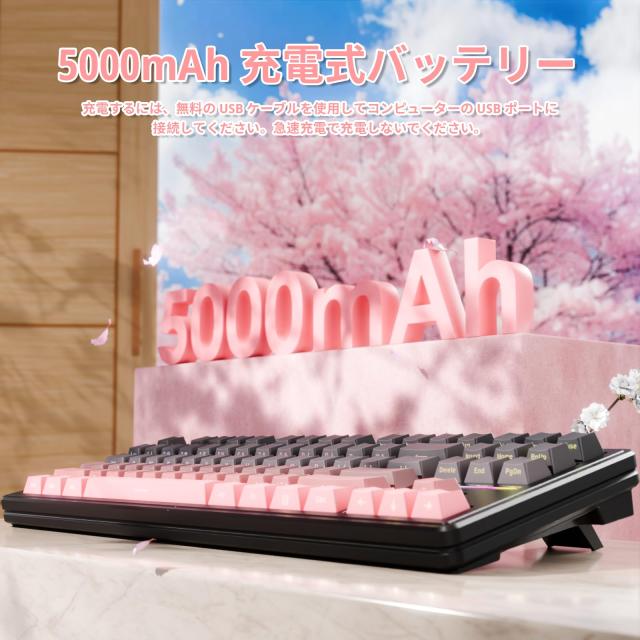 ATTACK SHARK M87PRO コンパクト 3モード メカニカルキーボード Bluetooth/ワイヤレス/有線 2.4GHz TYPE-C 87キー 80% 配列 RGBライト ホ_4