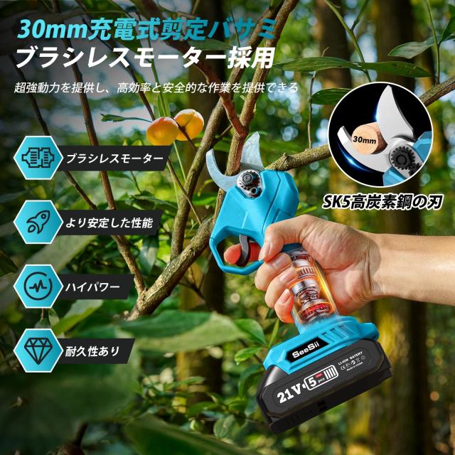 Seesii たかえだ 電動 チェーンソー 高枝切りバサミ 6インチ